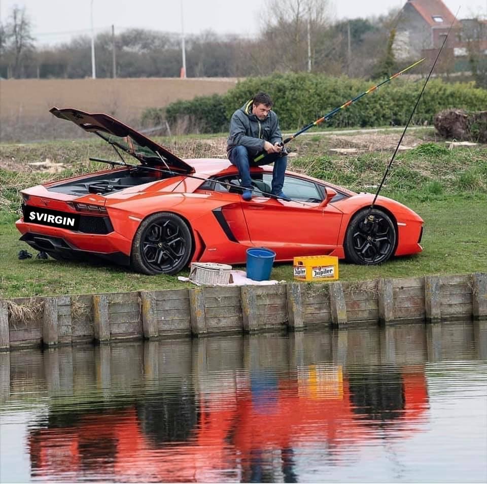 The humble life of a $VIRGIN hodler🙏
