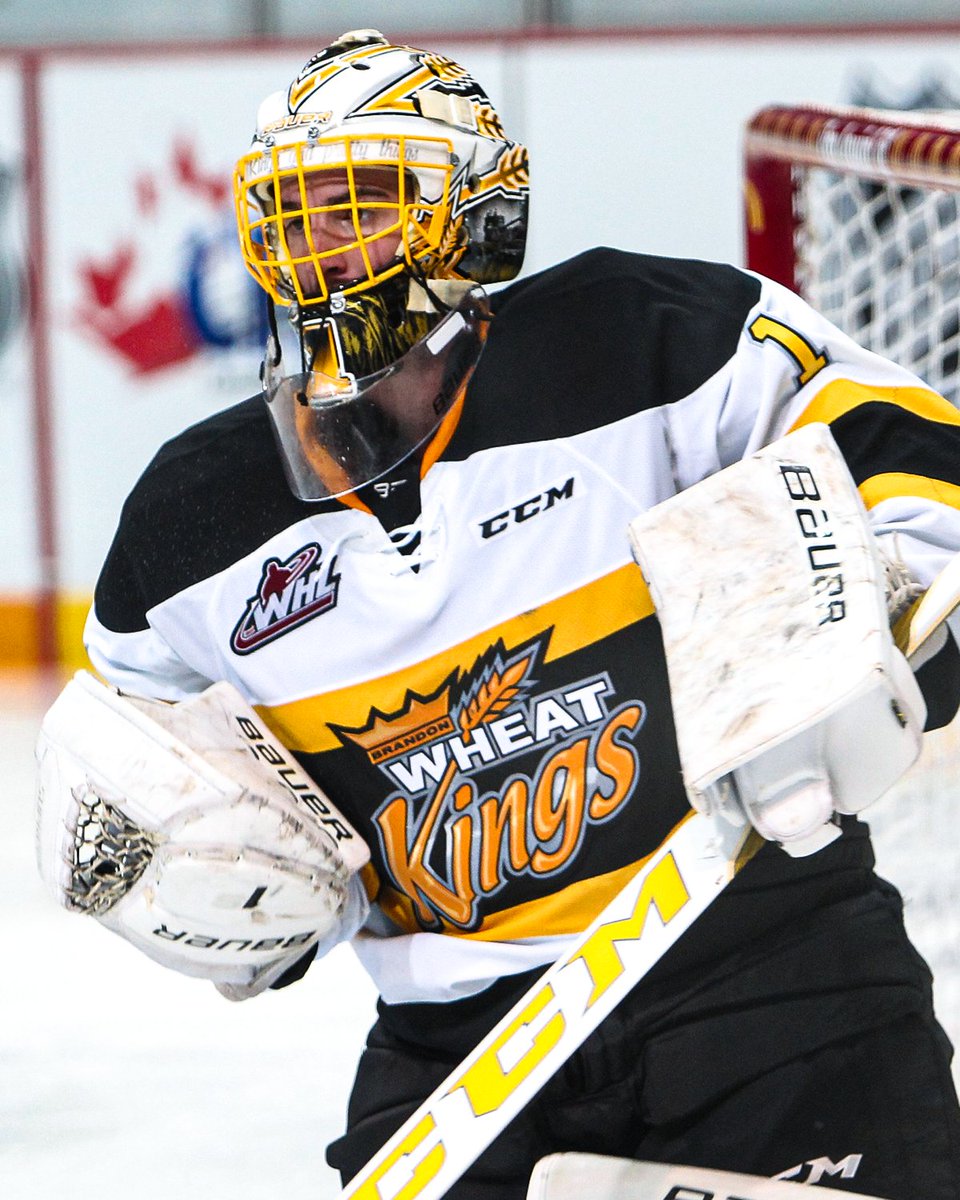 NHL's tweet image. Logan Thompson's incredible career journey: A thread 🧵 

• 2012 sixth-round pick in @TheWHL

• Four years in the WHL, not selected in NHL Draft

• One season with @BrockMensHockey in 2018-19

• Cut from ECHL team in spring 2019

(📸: @bdnwheatkings)