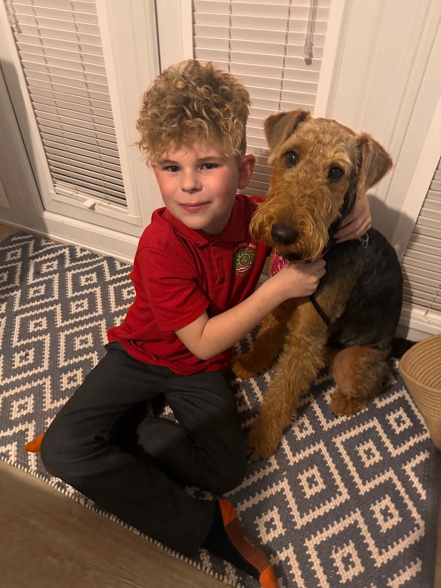 Heledd Cynwal tweet media