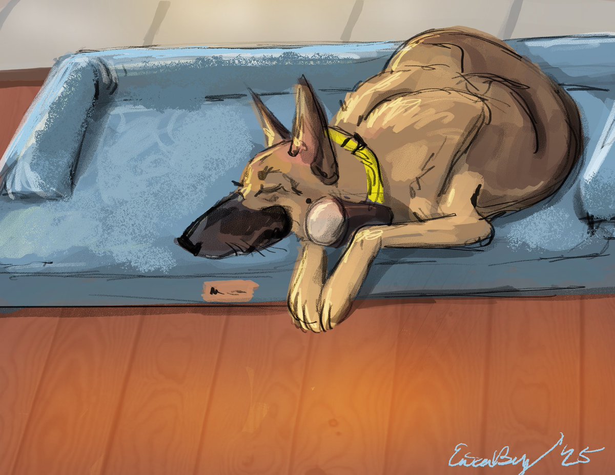 Erica Bey tweet media