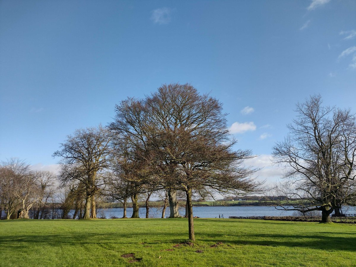 Lundbeck Foundation Investigator Network tweet media