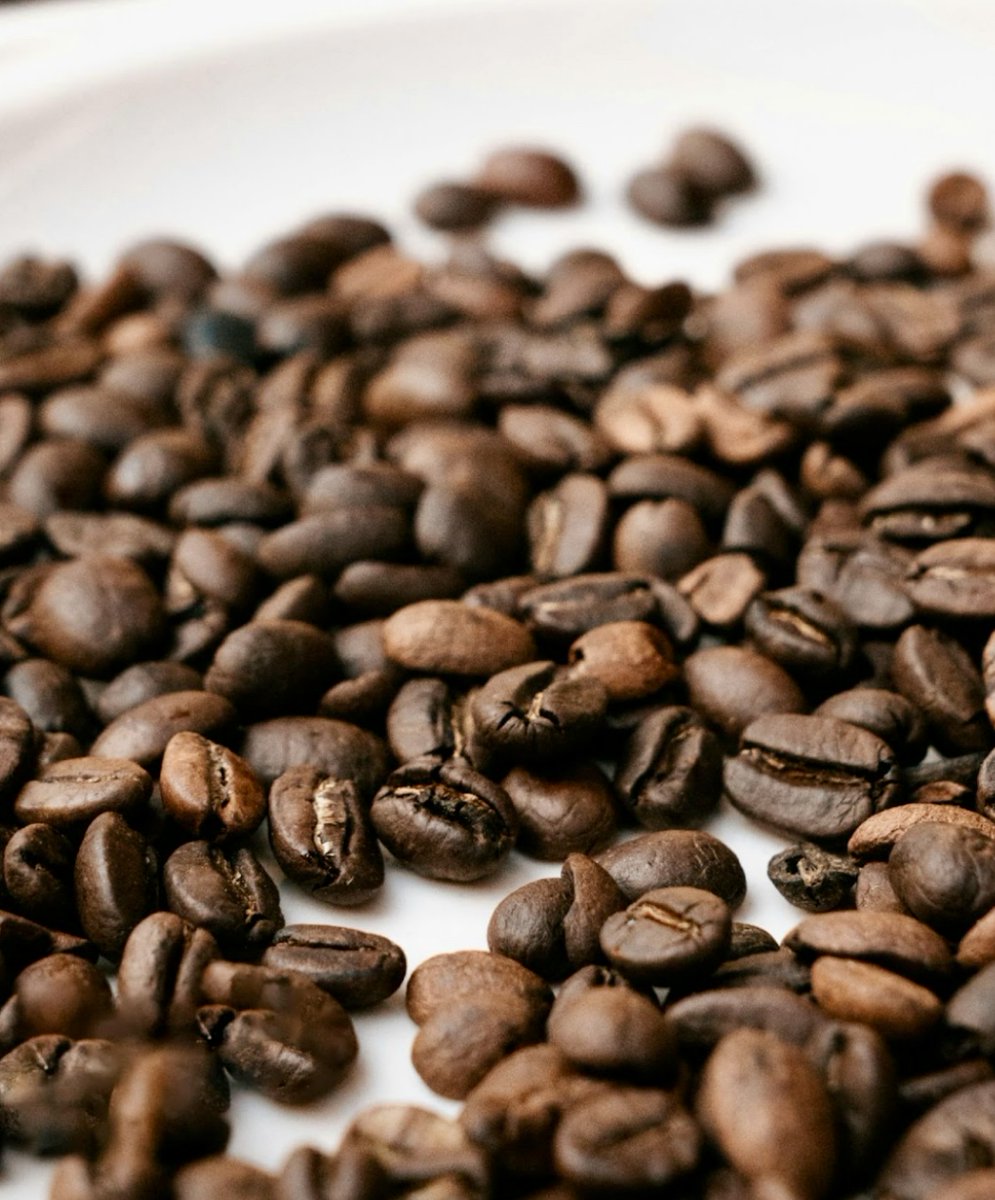 Nothing beats the freshness of whole beans! Grind them to your perfect consistency and enjoy the rich, bold flavor of Royal Kona Coffee. ☕🌿 Every cup is a celebration of quality, craftsmanship, and the islands.

✅ Shop today: bit.ly/3CAcDxZ

#RoyalKonaCoffee