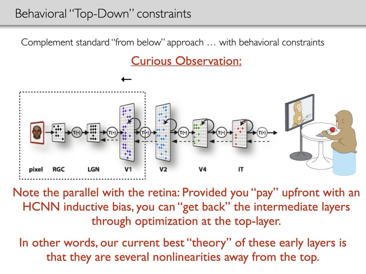 aran_nayebi's tweet image. In this lecture, I talk about the "curious" observation in vision that, if you "pay" upfront (in the No Free Lunch sense) with a hierarchical CNN inductive bias, you get back strong neural predictions of the intermediate layers, solely through task-optimization at the top layer.