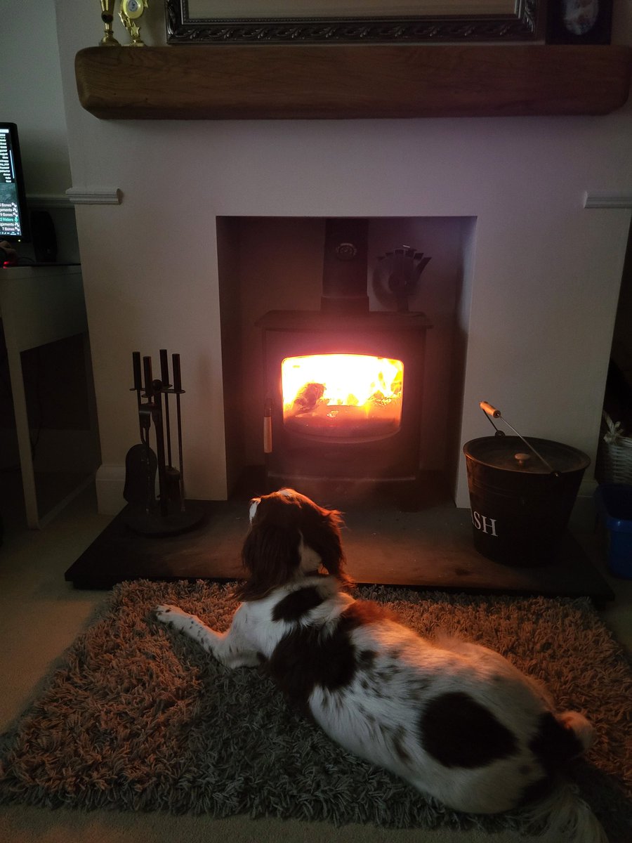 RobTheFrugalist's tweet photo. Is it worth buying a wood burning stove these days? What do you need to do?
1/2 https://t.co/f4XBZjj8Me