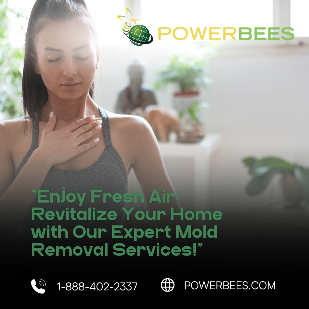 Powerbees's tweet image. "🌬️ Breathe easy with a fresher, healthier home! 🏡 Our expert mold removal services will revitalize your space and improve air quality. Say goodbye to mold and hello to comfort! ✨ #MoldRemovalExperts #FreshAirLiving #HealthyHome #BreatheEasy #HomeCareSolutions #CleanLiving