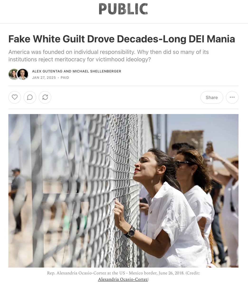 shellenberger's tweet photo. Western civilization rests on individual responsibility: you're responsible for what you do, not what others in your racial group, dead or alive do. For that reason, DEI has had to manipulate language, trigger fake guilt, and put secular elites into a cult-like, hypnotic trance.