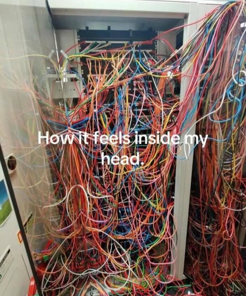 True Memes (@truememes_) on Twitter photo 