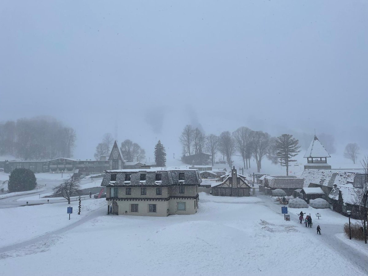 Kyle Leese tweet media