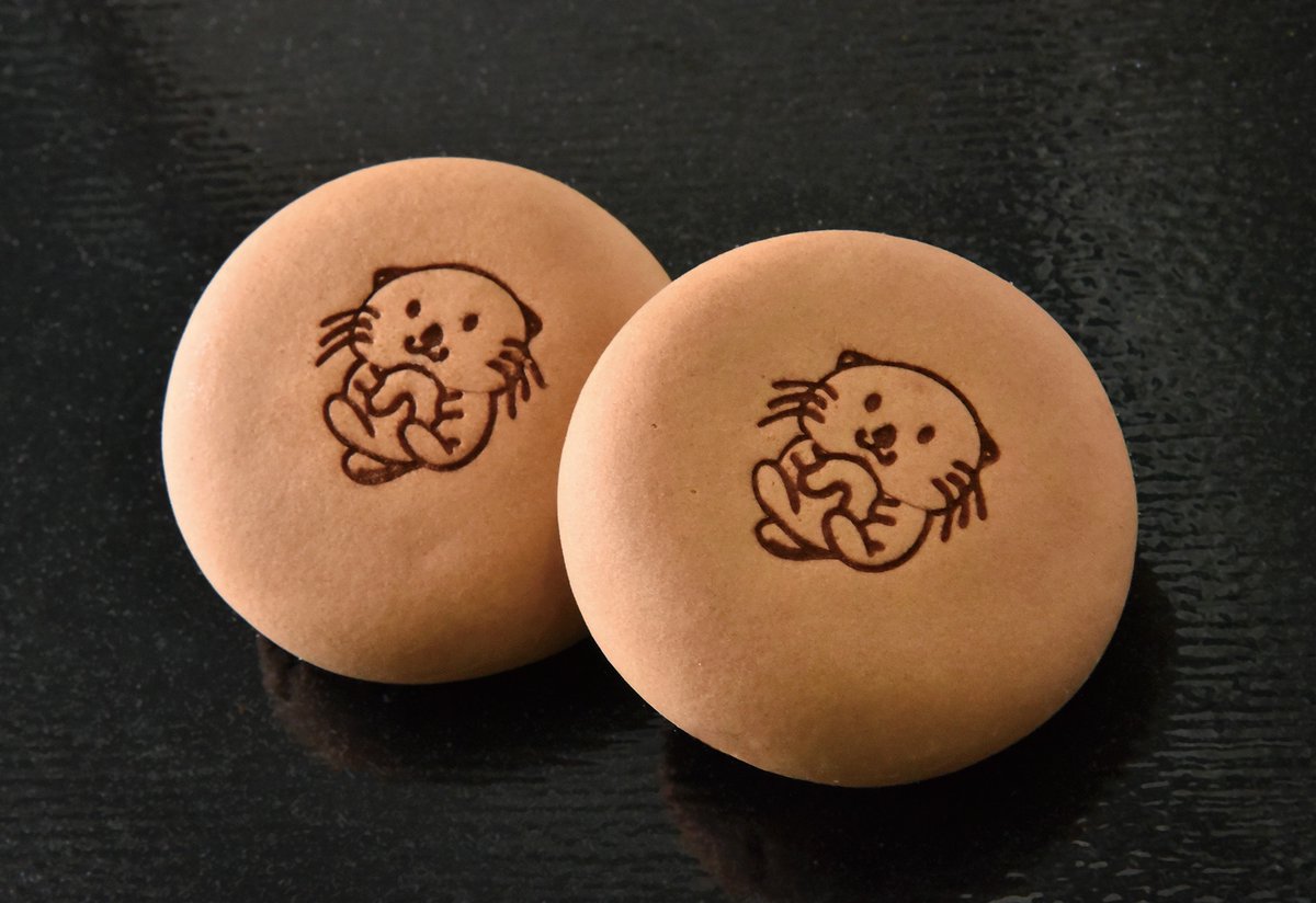 ついに明日…🦦✨ #ラッコ #らっこ #seaotter #らこぽん