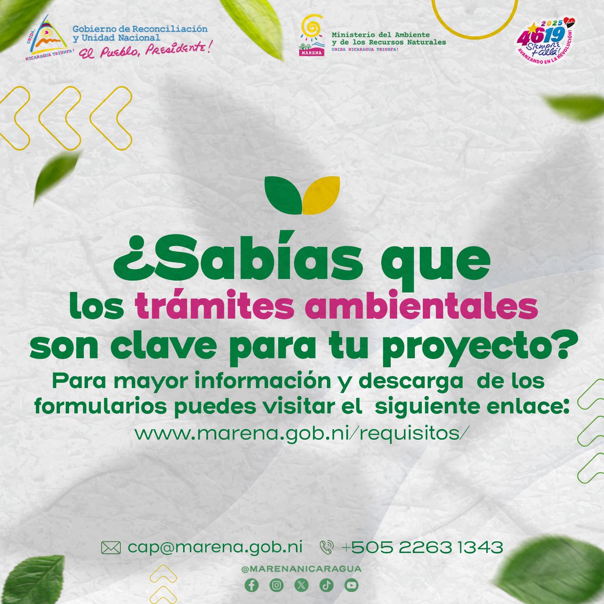 Te instamos a estar pendientes de nuestras redes sociales para conocer más sobre cuáles son los requisitos para tus trámites ambientales. 

#AmorAlaMadreTierra
#Biodiversidad
#CalidadAmbiental