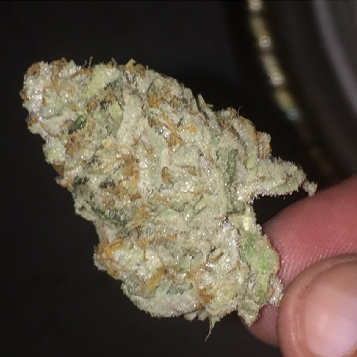 FlavrChfGenetix's tweet photo. #GorillaClash = gg4 my #22cut X #FaceOffOG f2 #FlavorChefGenetics stuper fire ๐ฅ https://t.co/UWzyEr0HRR