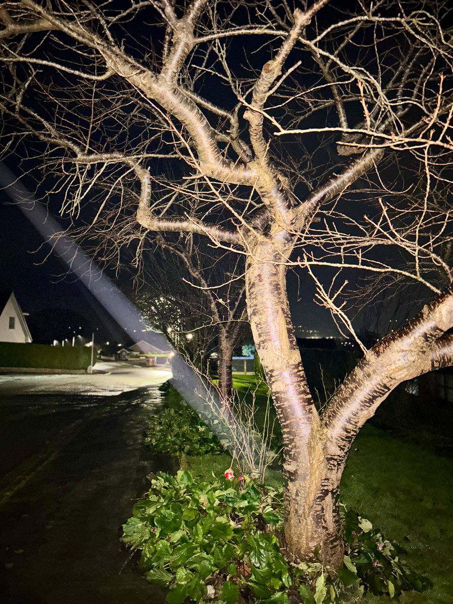 PetersClodagh's tweet photo. Day 27 et al ✅🙈 #100daysofwalking 
Definitely still walking everyday. Don’t always remember a photo and have forgotten to post for the last few days 😱   Lots of wind and rain ☔️ https://t.co/l2OhBXGA9O