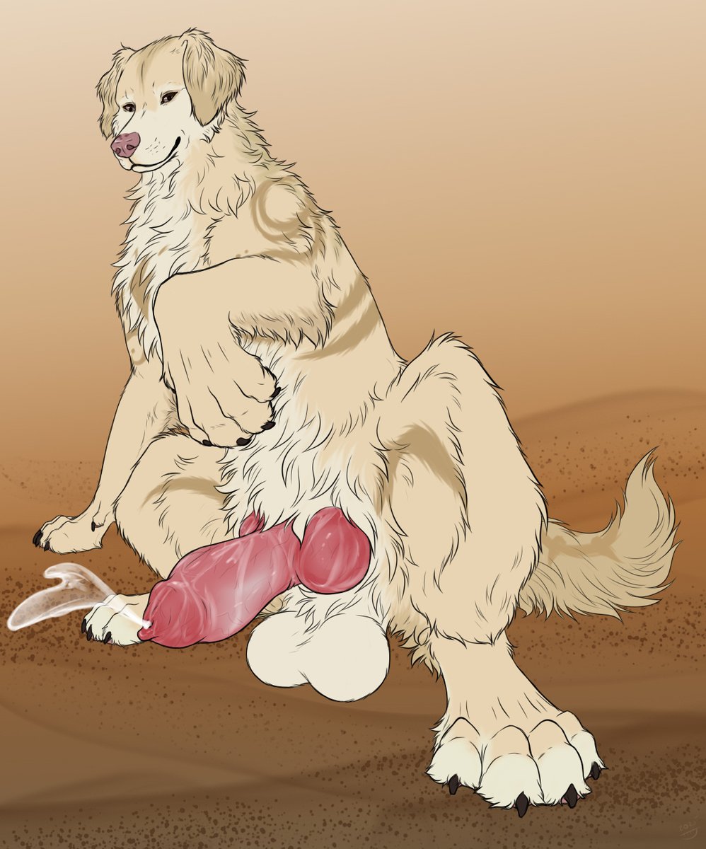 FCL_DoEl's tweet photo. YCH for Angry_Wolfo FA 
Cory the Golden Retriever 
type: flat sketch https://t.co/R104axIz1l