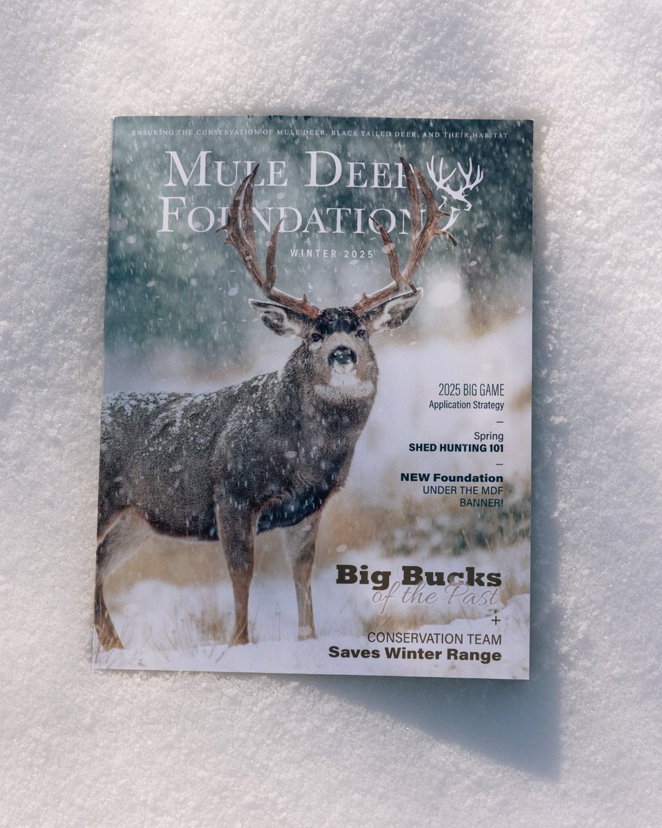 An elk-scouting trip turned into a 2-year journey for the buck of a lifetime. Tanner Liermann's story, The Long Hunt: Two Years to One Buck, is featured in our winter issue.
Join the herd to read it &amp; support conservation efforts!
muledeer.org/product-catego…