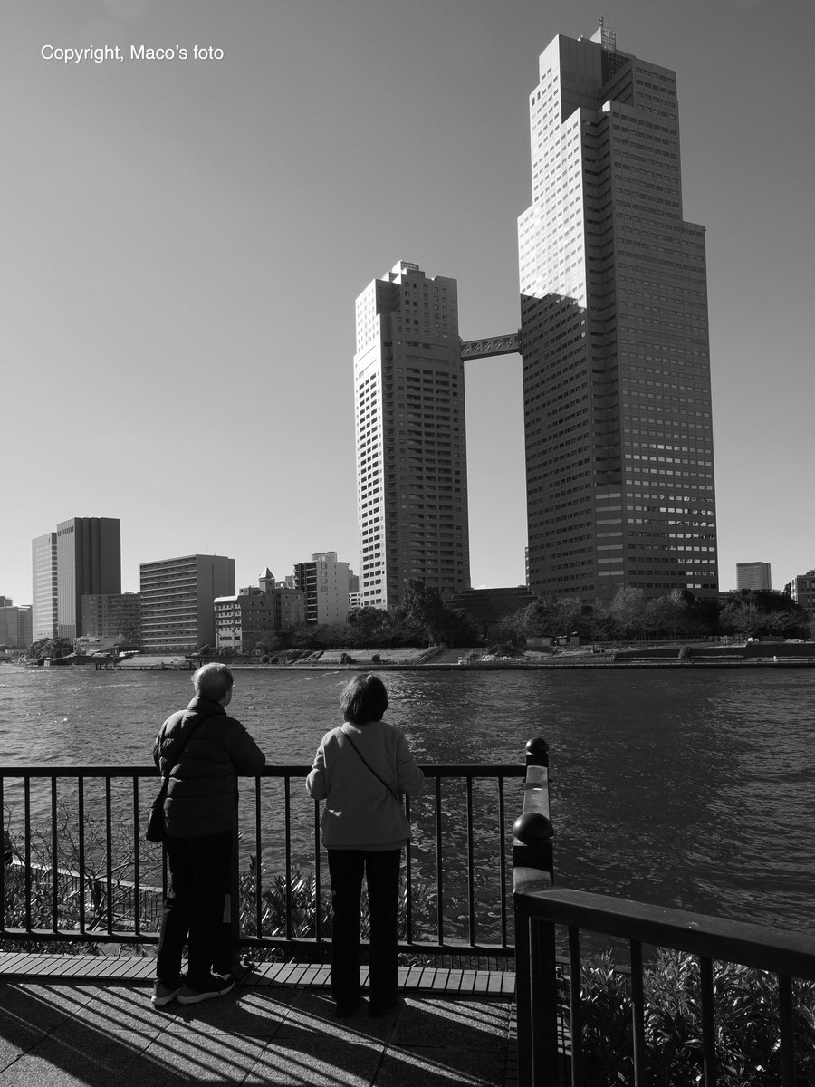maco_ohyama's tweet photo. #sumida_river https://t.co/huKtCq70K7