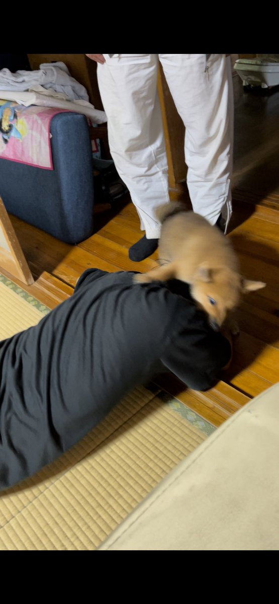 DAI_RX7's tweet photo. 来たばっかりの時 https://t.co/bZBCkH7SkM