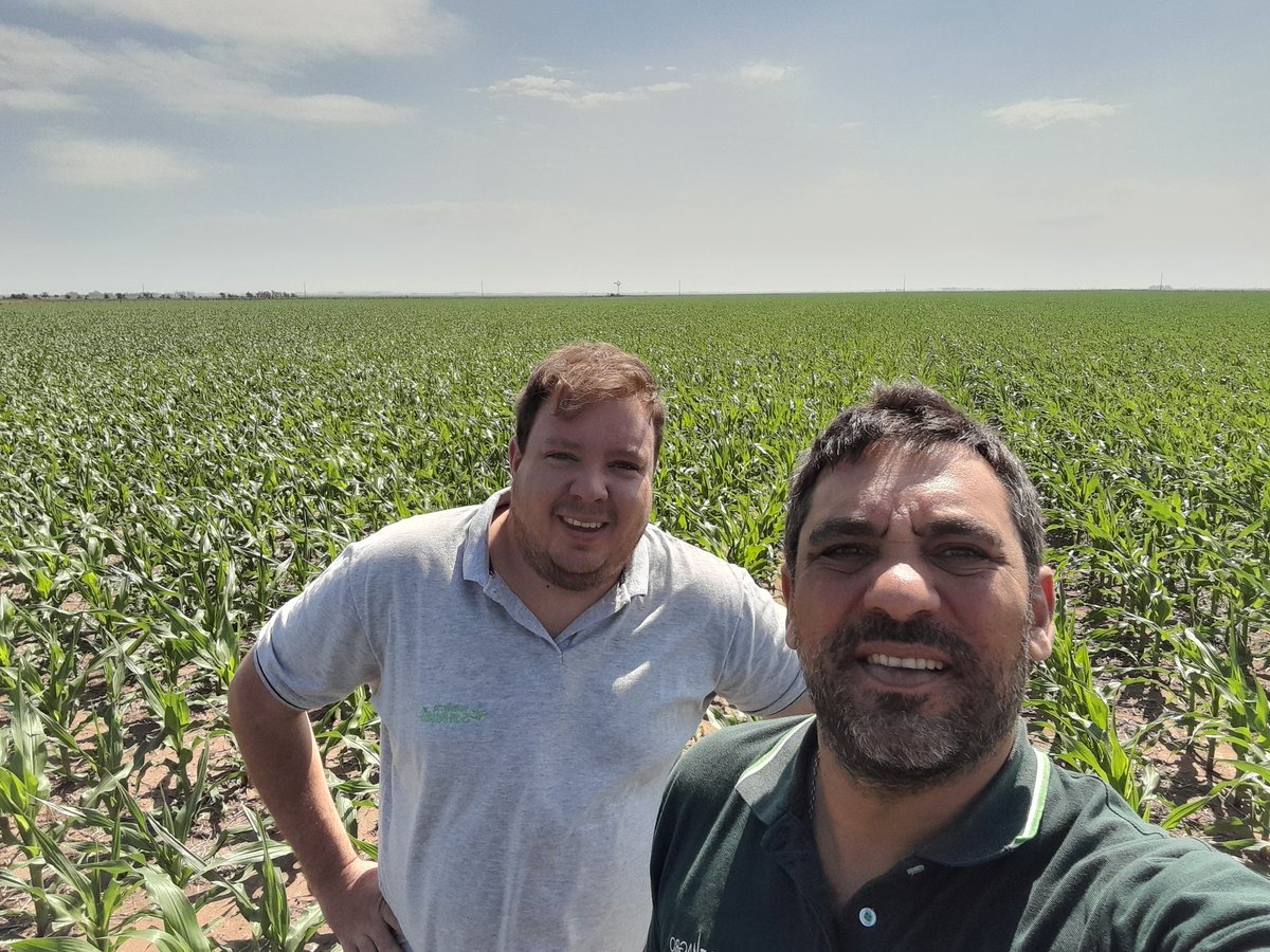 Mariano Martinez tweet media