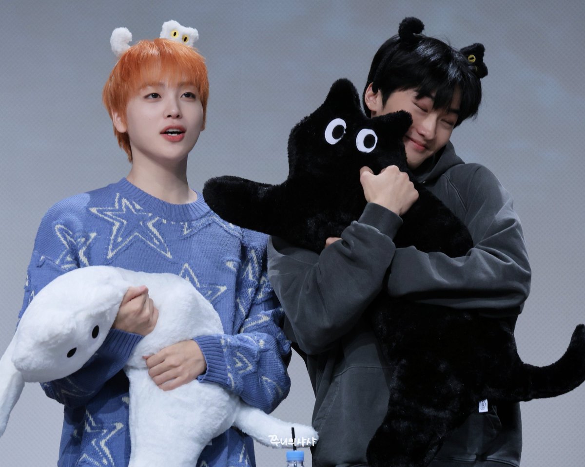 絶対にチュニを揶揄っているのがわかって良い