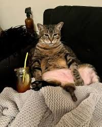 I_MrRed's tweet photo. @notoklauren Punctuation unclear. Catman /cat, man, or cat man? https://t.co/S14jivVSmM