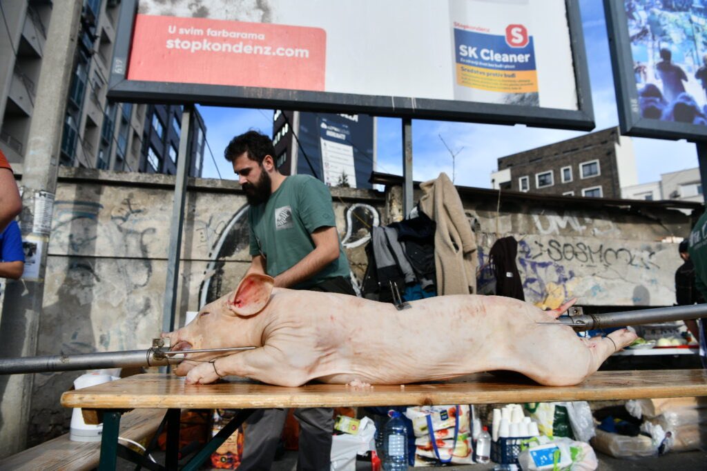 Only Serbs roast pork at protests