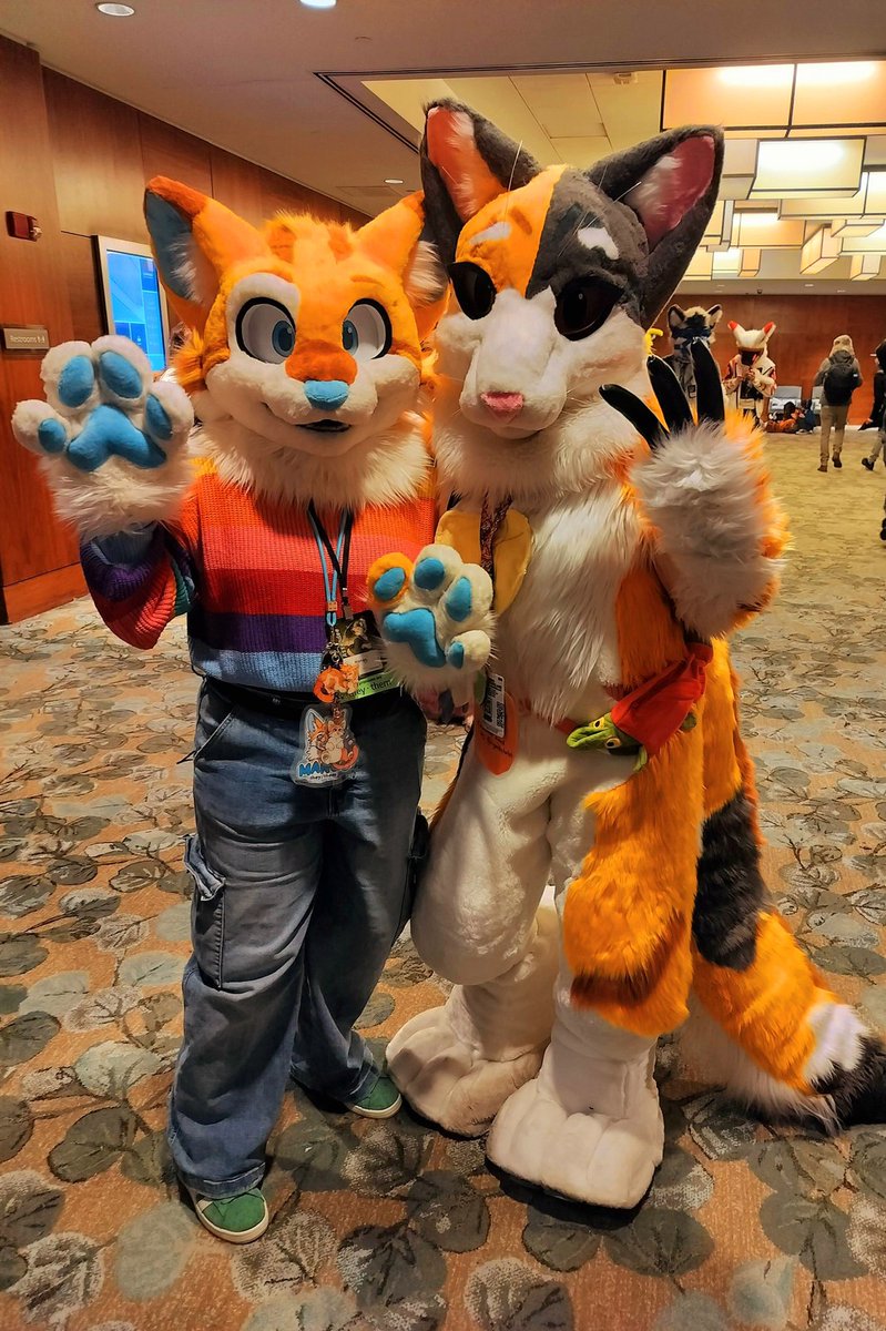 cyanthetortat's tweet photo. happy #FursuitFriday from two kibbies #ane2025 
🐱: @mangopawss 
📷: @FurryFlea 
🪡: @Fuzz_Sunday , @ScruffTBL_Suits https://t.co/atRrVHlbEq