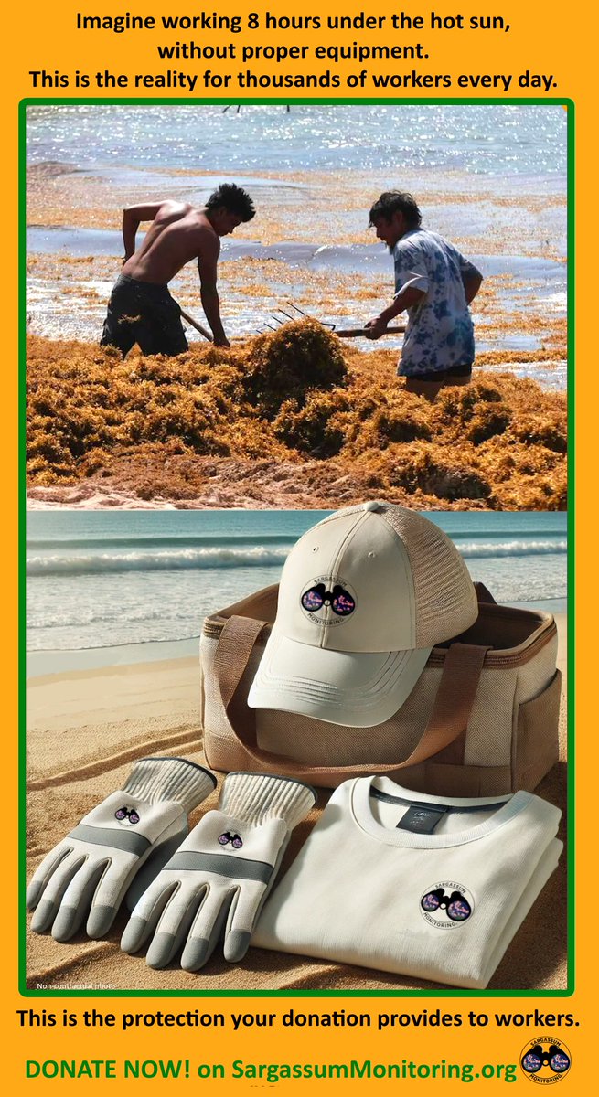 SargaMonitoring's tweet photo. ๐ They protect our beaches, but who protects them? ๐ก๏ธ
Workers face heat & toxic #sargassum daily without proper gear.
Your donation provides gloves, UV shirts & caps.
๐ค Donate now: https://t.co/uJDdFabRUM
#Solidarity #SargassumMonitoring #ProtectTogether
#sargazo #sargasse https://t.co/U379fzhspO
