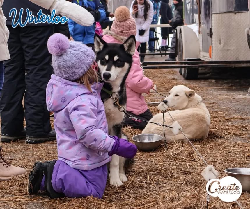 CreateWaterloo's tweet photo. A BIG thank you to everyone who came out to enjoy the winter weather during the City of Waterloo’s annual #Winterloo festival!❄️
From outdoor ice skating and snow dogs to ice carvers, giant games and more, it was an unforgettable day full of winter magic.✨ https://t.co/HXxs9bBq6p