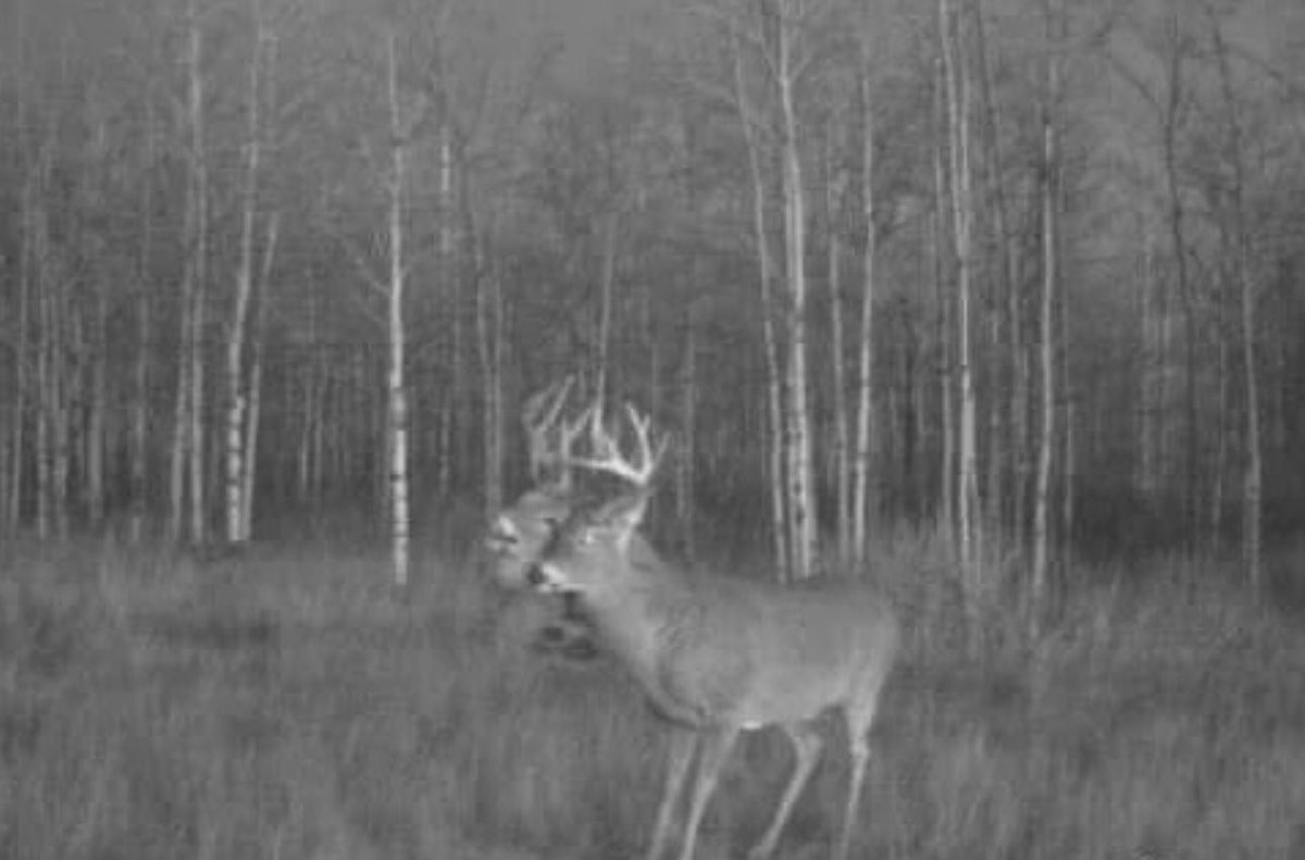 Drury Outdoors 🦌 tweet media