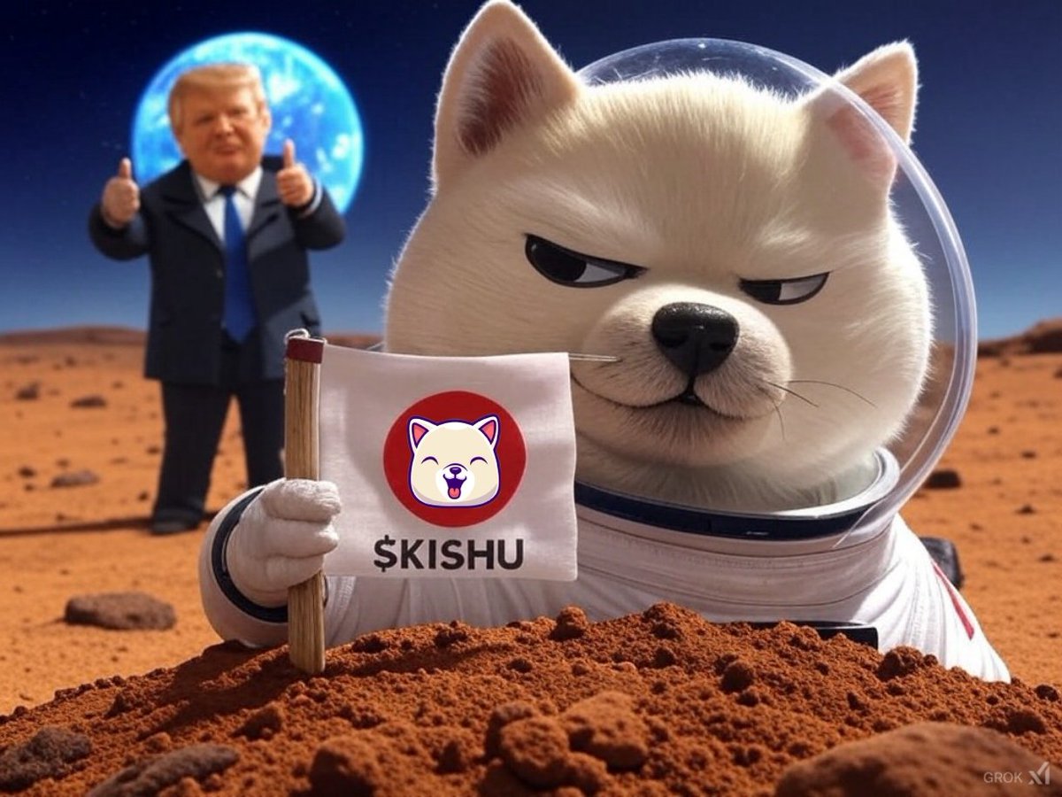 The countdown has begun ✨

Are you ready to be part of history? 

#MemesAI #MAGAtoMEGA $KISHU