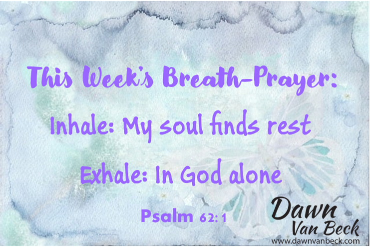 Dawn Van Beck tweet media