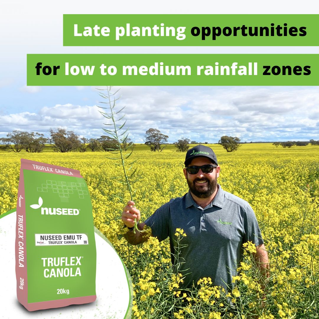 NufarmSeedsAU's tweet image. 🌱Need quality #canola seed for later planting?

#Nuseed Emu TruFlex® hybrid canola thrives in low to medium rainfall zones.

If you're looking for an adaptable early series variety, Nuseed Emu TF is your solution 👉 bit.ly/NuseedEmuTF

#NuseedAustralia #Canola25