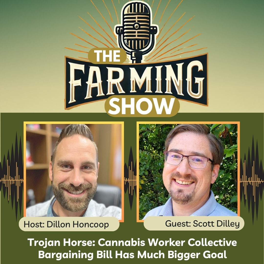 savefarming's tweet photo. Even the bill's main sponsor, Rep. Lillian Ortiz-Self, D-Mukilteo, admits there's a bigger plan than just unionizing cannabis workers.
#SaveFamilyFarming #ProtectFarmworkers #WALeg
@waflalabor @reportizself
Listen now! https://t.co/KUZDQrDta1 https://t.co/QB3kD8UsfL