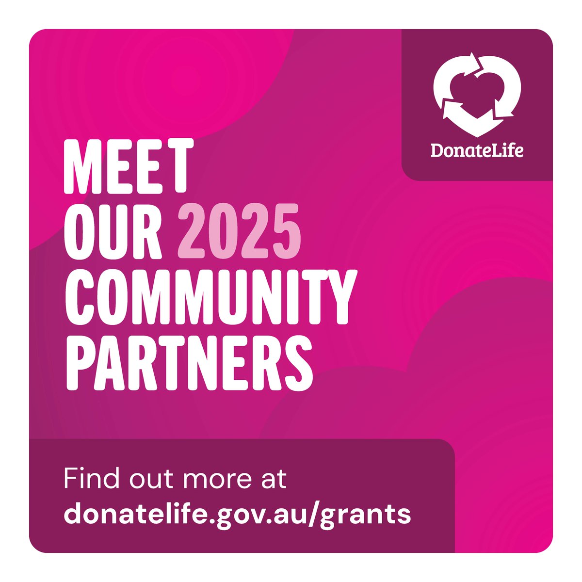 DonateLife ๐ (@donatelifetoday) on Twitter photo ๐งโ๐คโ๐ง๐งโ๐คโ๐ง 2.8 million Aussies support organ and tissue donation, but donโt know how or why they need to register. Our new 2025 community partners will help us reach them through our Community Awareness Grants program: donatelife.gov.au/news-events/neโฆ
#DonateLife #CommunityPartners ๐งโ๐คโ๐ง๐งโ๐คโ๐ง 2.8 million Aussies support organ and tissue donation, but donโt know how or why they need to register. Our new 2025 community partners will help us reach them through our Community Awareness Grants program: donatelife.gov.au/news-events/neโฆ
#DonateLife #CommunityPartners