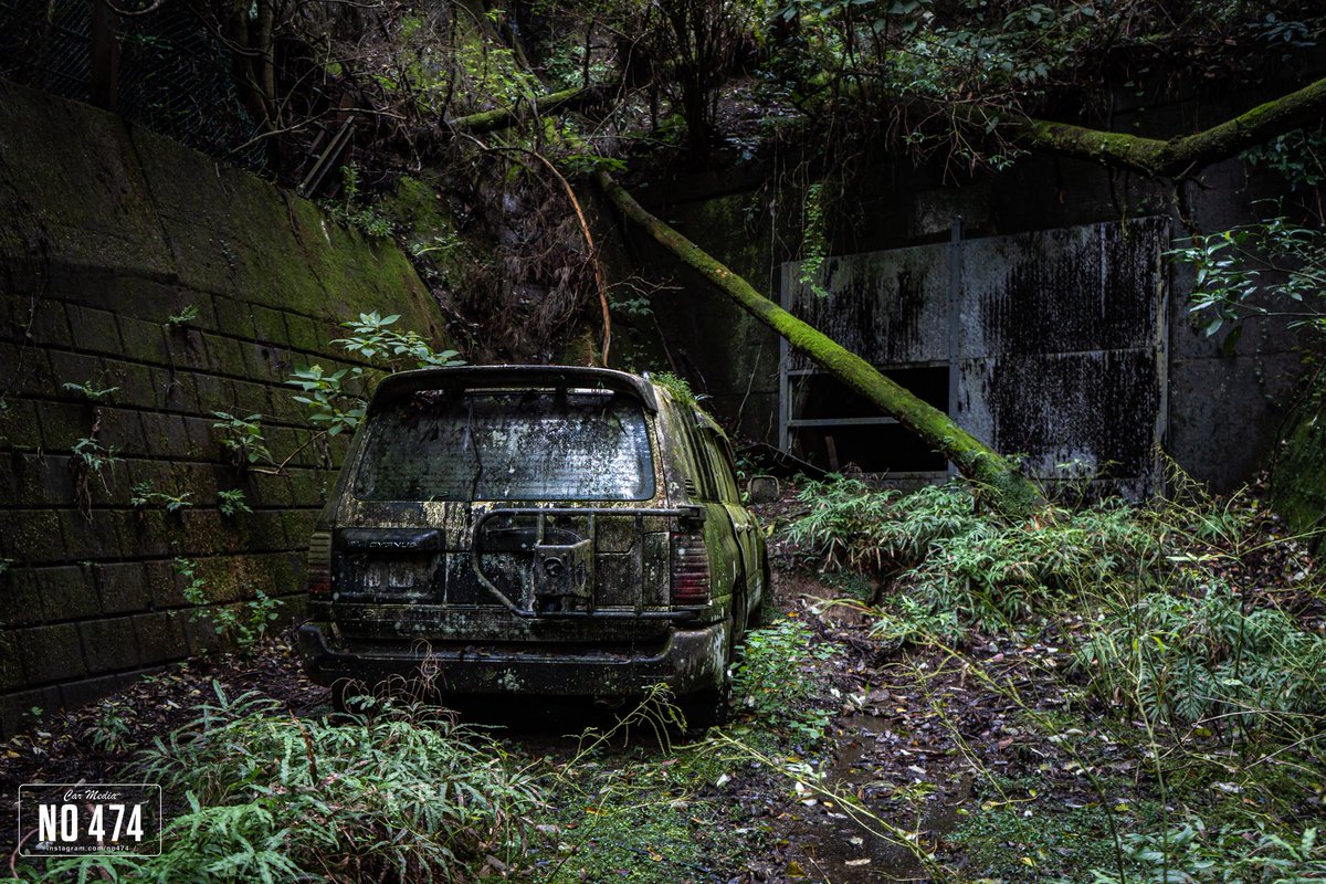 ﾅﾍﾞﾁｬｿ tweet media