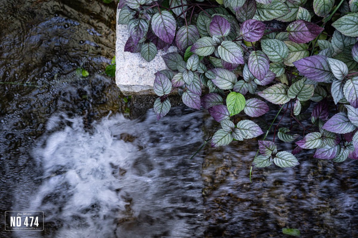 ﾅﾍﾞﾁｬｿ tweet media