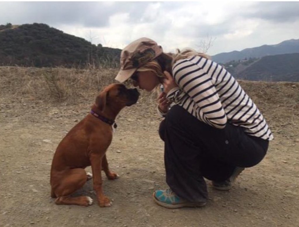 Dogs are everything.