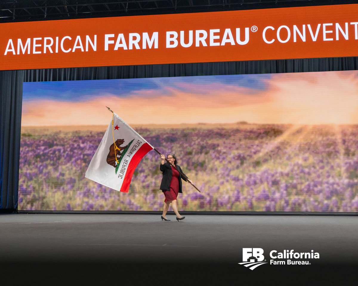CAFarmBureau's tweet photo. California Farm Bureau President Shannon Douglass proudly carried the California flag during the Parade of Flags at the 106th @FarmBureau Annual Convention in San Antonio, Texas!

#CAFarmBureau #CAFB #FarmBureau #AFBF25 #AnnualConvention #StepUpDriveForward #SanAntonio #Texas https://t.co/9EzrPEsnVE
