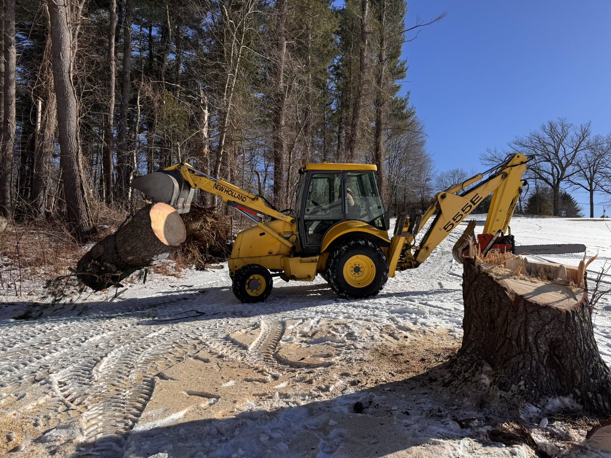 TJohnston tweet media