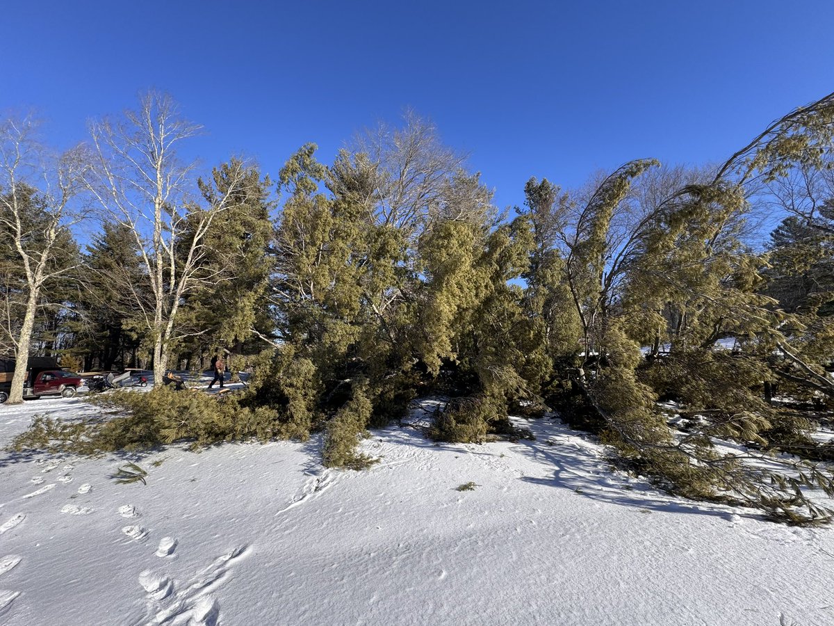 TJohnston tweet media