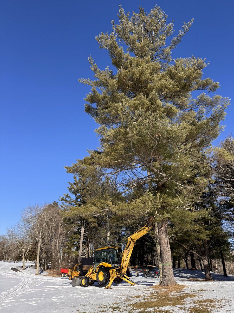 TJohnston tweet media