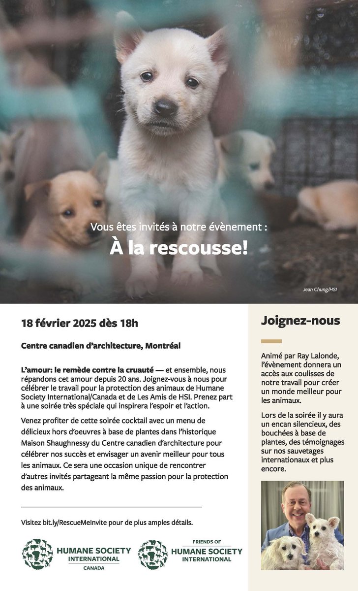 Je vous invite à venir à cette soirée spéciale que j’animerai pour soutenir The Humane Society International/Canada. Les animaux ont besoin de vous et de moi. Vous allez vraiment apprécier voir ce que HSI accompli au cours d’une année dans le monde pour venir en aide aux animaux.