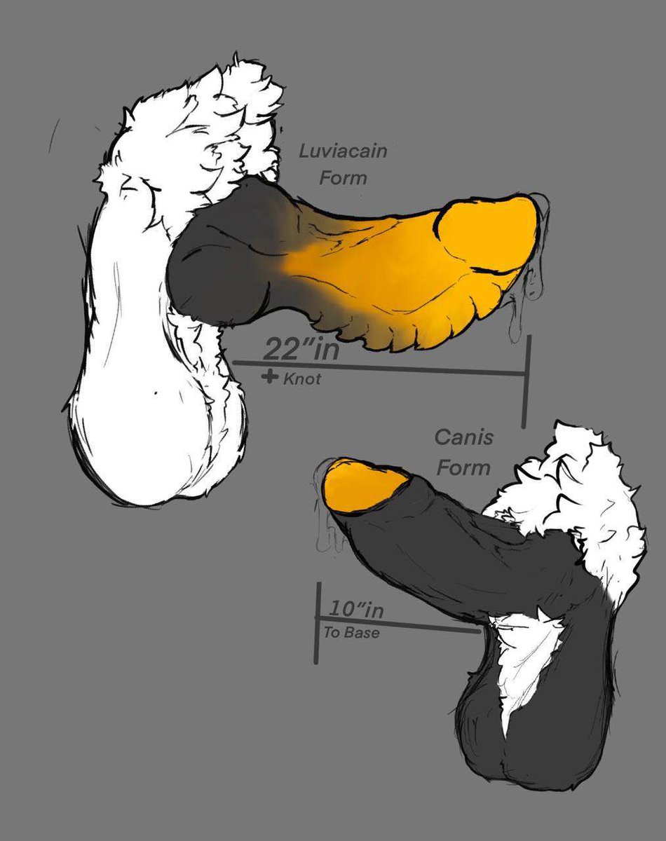 Cryptic_Lynx's tweet photo. Sooo… theoretically speaking would anyone be interested in helping me practice nsfw? They’d be c.omm work but having diff characters/body types would be cool. 

Some art examples I’ve donee
Might need to use refs at some point so I’ll figure that out-
Fusco is @PupMonte ’s boi https://t.co/uyfcfNrCv5