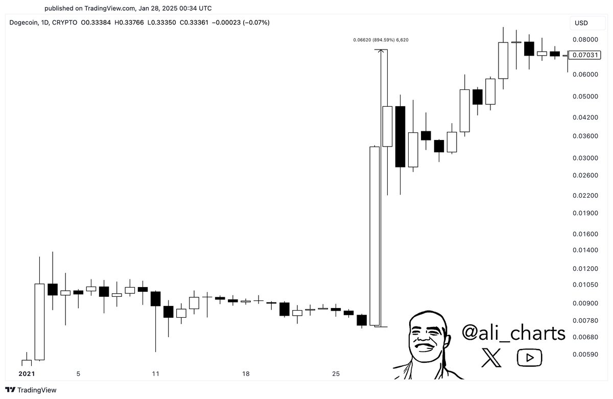 Dogecoin 2021 Spike Ali Martinez