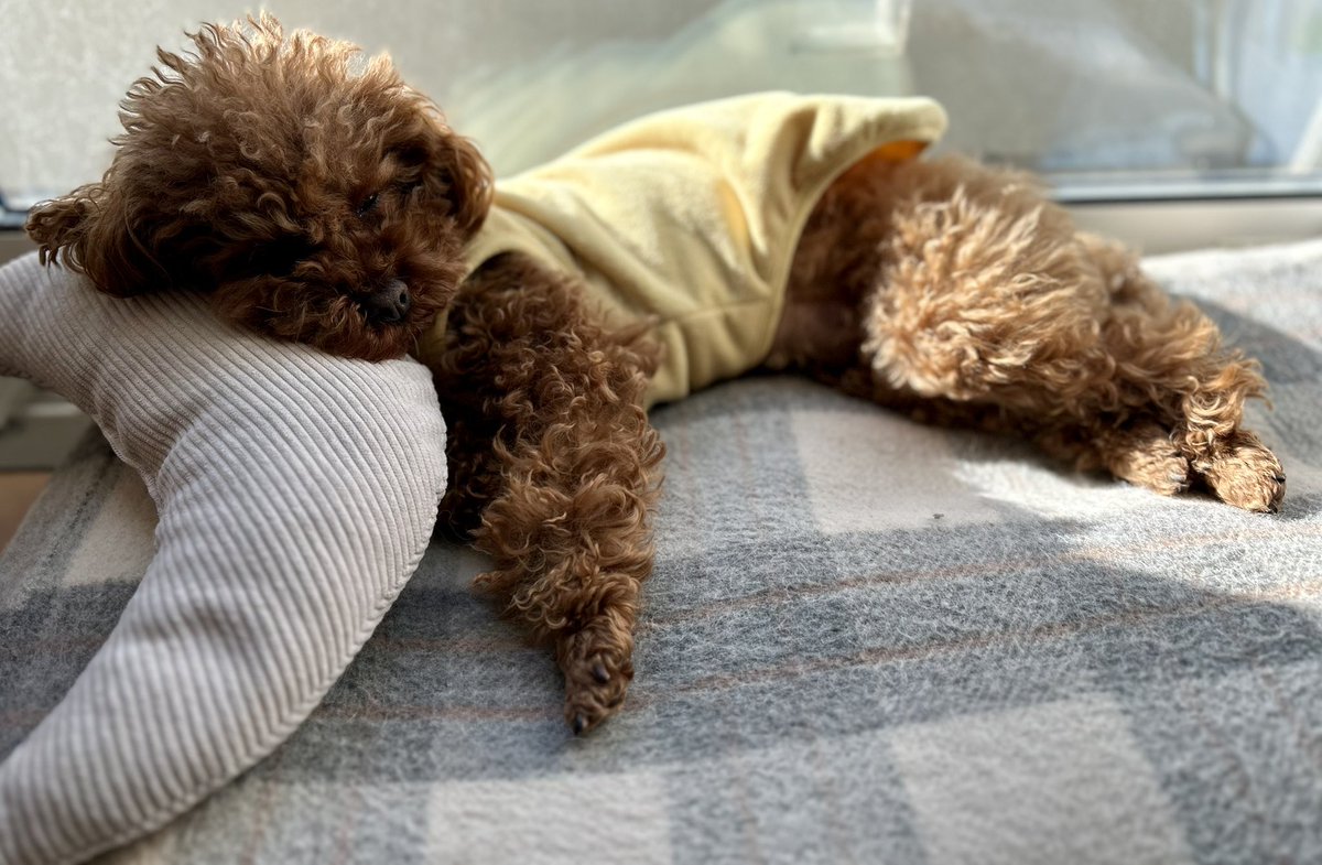 今日で2歳✨✨