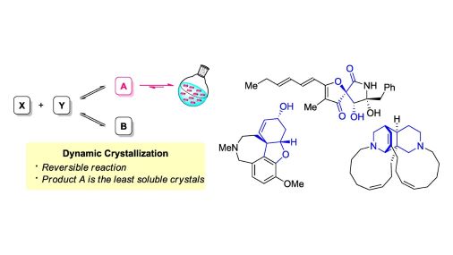 CSJjournals_jp's tweet photo. #DynamicCrystallization is the way to control selectivity when the product is the crystal under reversible conditions. This highlight summarizes the applications in #NaturalProductSynthesis .
Review by Dr. Takaaki Sato @KeioGlobal
#OpenAccess
https://t.co/I87WKd42c2 https://t.co/fulNrVX6IL