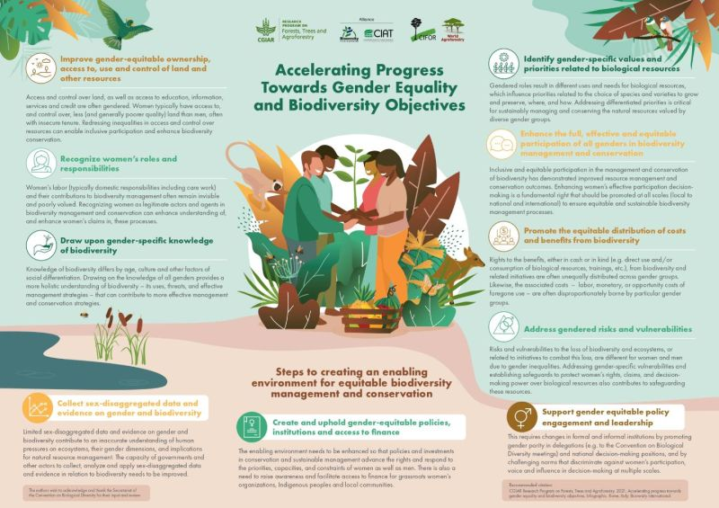 UNBiodiversity's tweet photo. To tackle the twin crises of #climatechange and #biodiversity loss, gender dimensions must be addressed.🧍‍♀️🧍‍♂️Guidance from @CGIAR FTA and UN Biodiversity shows how to advance both gender equality and biodiversity goals.

🔗https://t.co/Cip9aSONOC 
via @CIFOR_ICRAF @BiovIntCIAT_eng https://t.co/wx7G1AZ6uX
