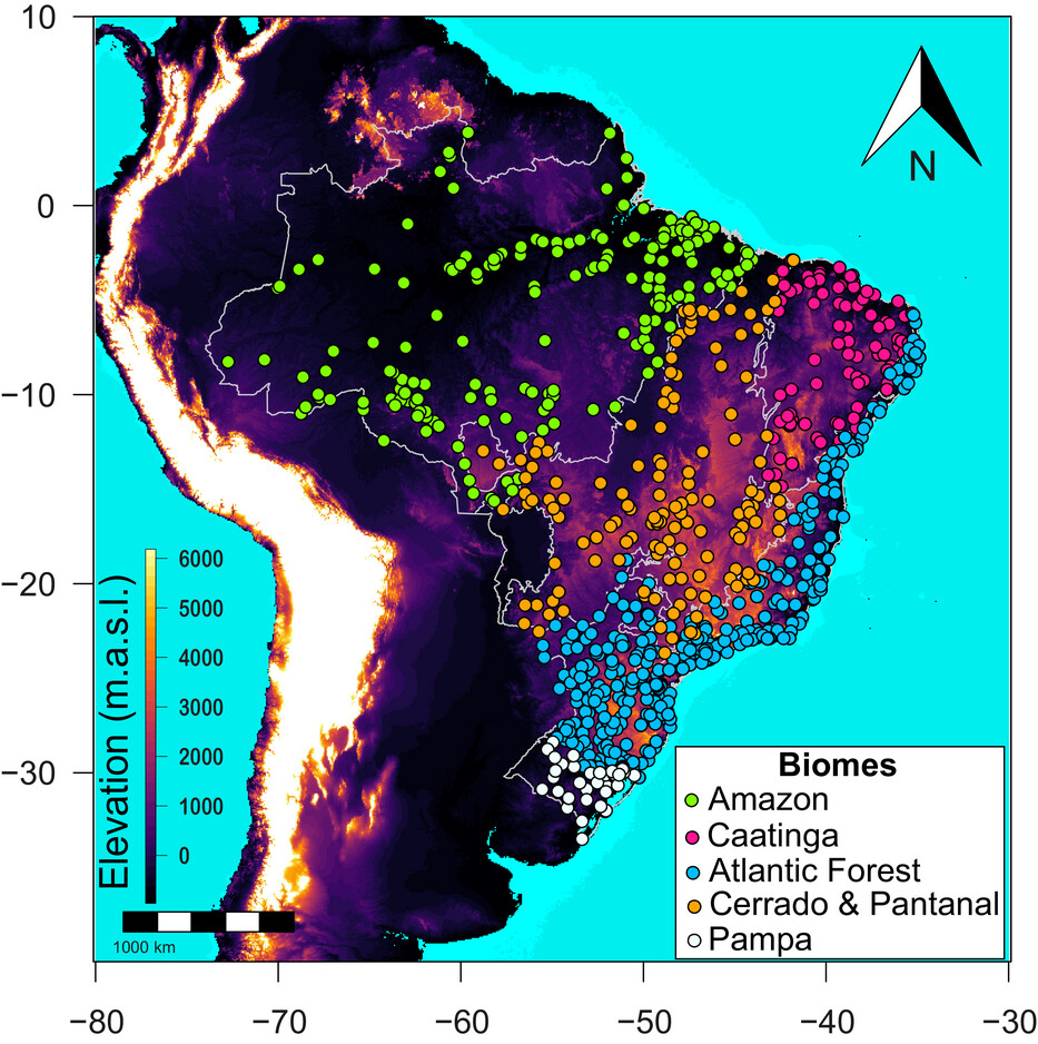 ConBiology's tweet photo. ❗️Urgent Policy Change Needed❗️

El Bizri et al shared that #socialmedia data uncovered hidden patterns of #illegalhunting and #wildlife depletion and highlight urgent need for policy change in #Brazil.🇧🇷 Read their full article at https://t.co/o0xqA0AWcI

#conservation #science https://t.co/7DTHRZ2k5G