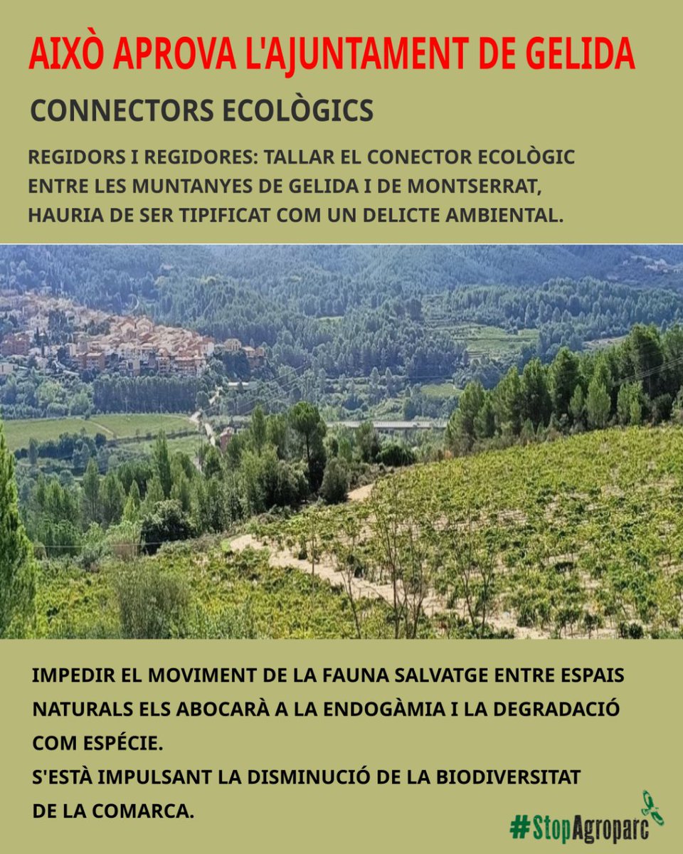 stopagroparc's tweet image. Això aprova l&apos;ajuntament de Gelida.