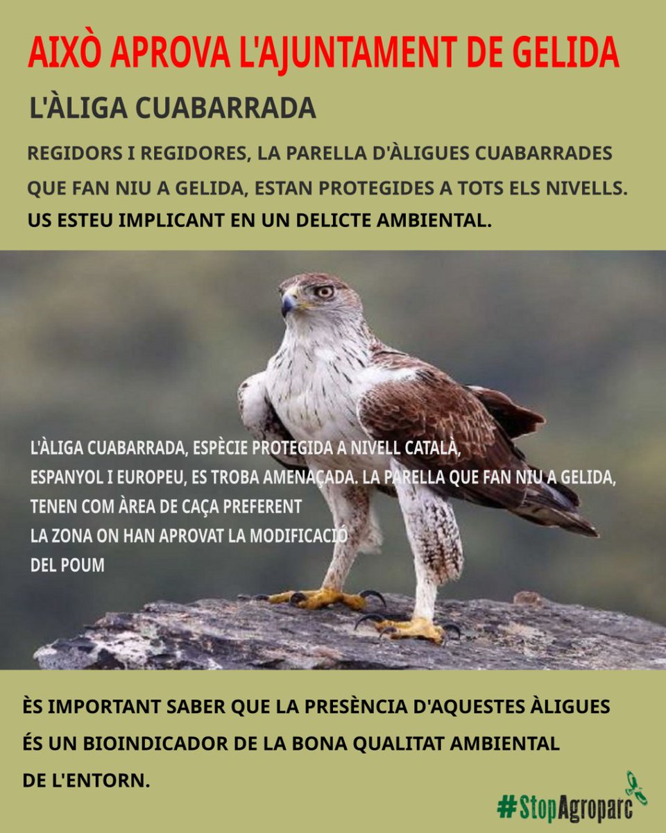 stopagroparc's tweet image. Això aprova l&apos;ajuntament de Gelida.
