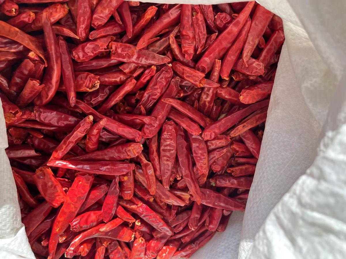 🌶️✨ Sweet Paprika Chili: the secret to vibrant, smoky flavor without the heat! Perfect for seasoning meats, soups, or sprinkling on roasted veggies. Mild, sweet, and oh-so-versatile—elevate your dishes in seconds! 🍲🔥 #SweetPaprika #ChiliMagic #FlavorBoost #HealthyEats